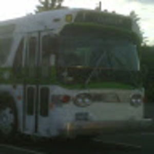 Meet your Posher, Cornelius